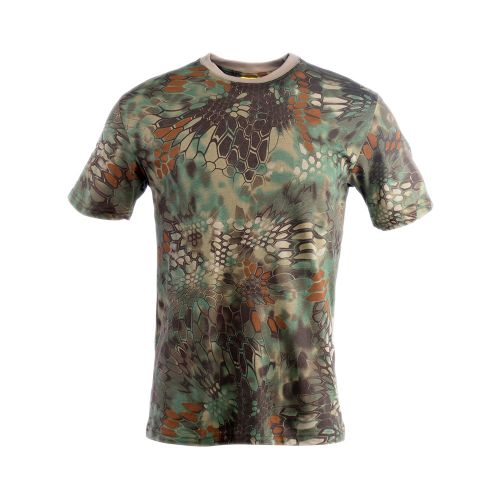 TS001